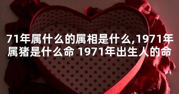 71年属什么的属相是什么,1971年属猪是什么命 1971年出生人的命